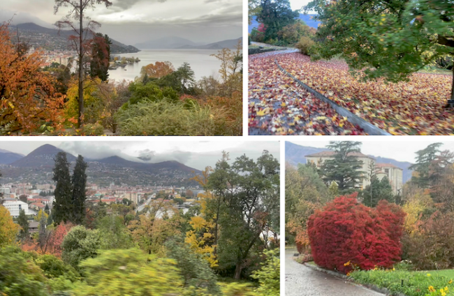 Schermata 2025 11 03 alle 08.22.40