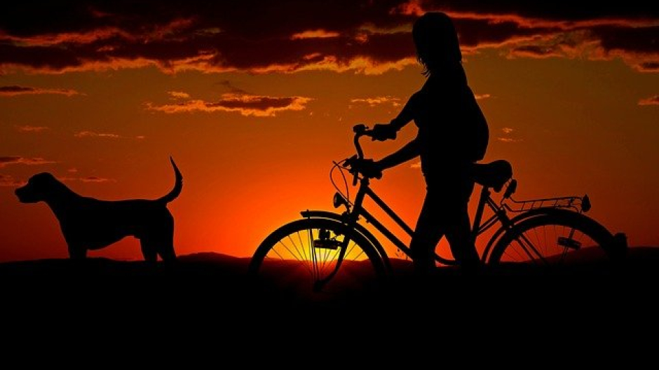 Un piano di dieci anni per pedalare e camminare: il VCO punta sulla mobilità dolce