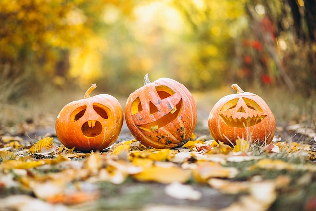 pumpkin 6720424 640